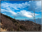 foto Salita dal Monte Tomba a Cima Grappa